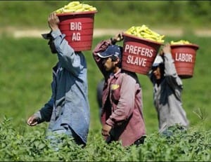 Illegal Immigrants Exploited During The Workplace