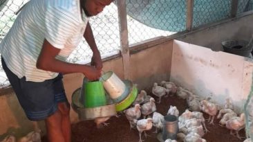 Tekena Ovuru poultry farmer 2