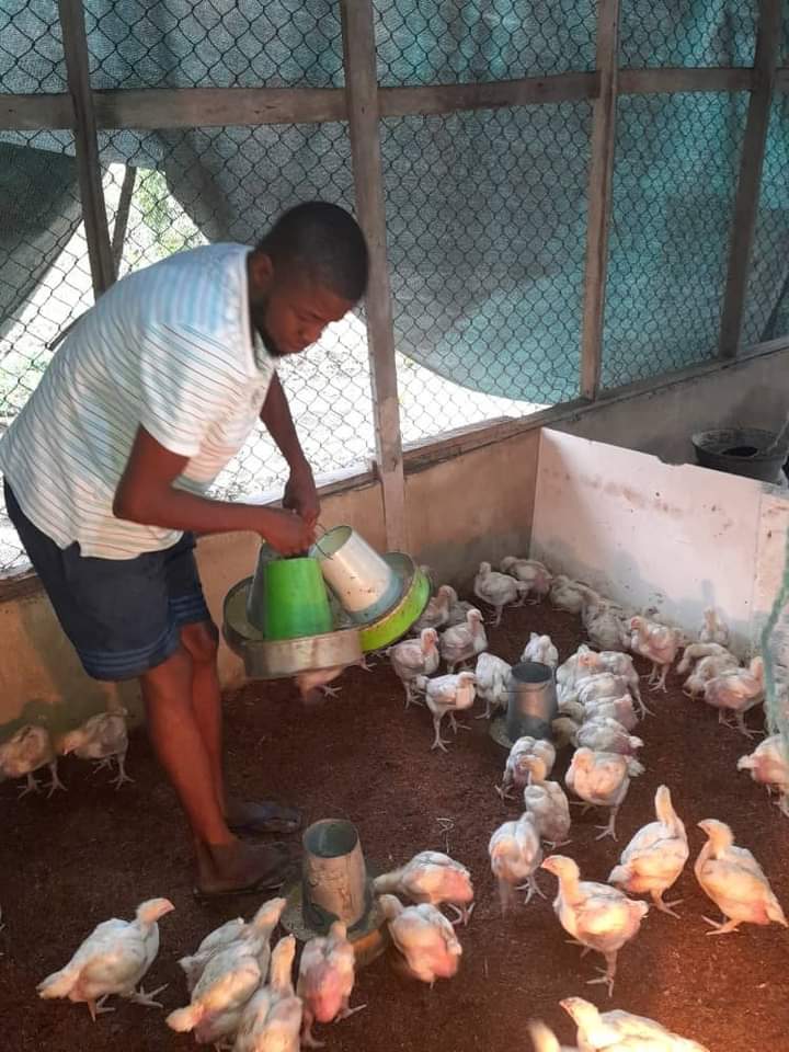 Tekena Ovuru poultry farmer 2
