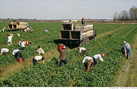 Illegal immigrant workers